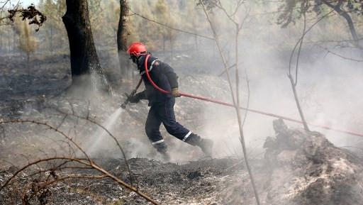 Incendies en Gironde : 