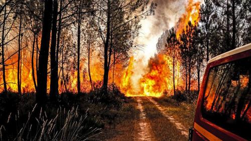 Gironde : les écologistes ont-ils une responsabilité dans les incendies, comme l'affirment des internautes ?