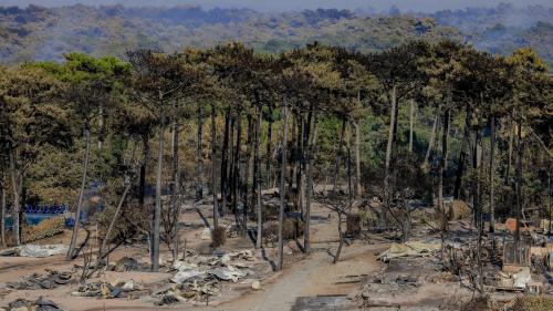 DIRECT. Incendies : au moins 36 750 personnes évacuées en Gironde, Emmanuel Macron attendu sur les lieux aujourd'hui