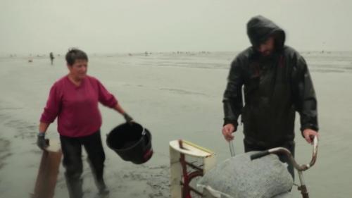 Baie de Somme : à chaque saison, des produits d'exception