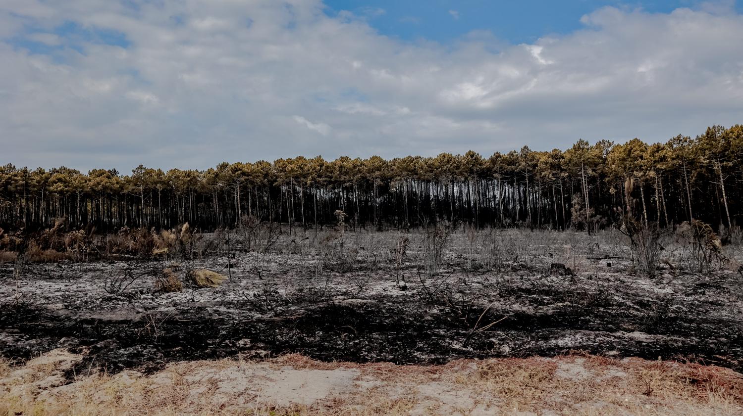 o fogo que atingiu o Monts d’Arrée está “sob controle”, anuncia a prefeitura