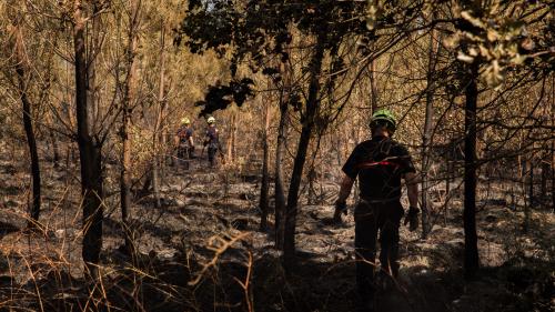 DIRECT. Incendies en Gironde : 