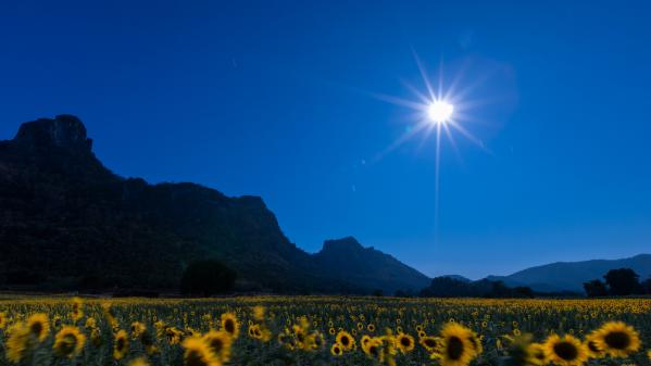 Bio-inspiration : comment produire de l'électricité pour les future bases permanentes sur la Lune ?