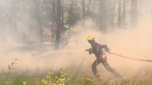 Incendies en Gironde : les pompiers en première ligne