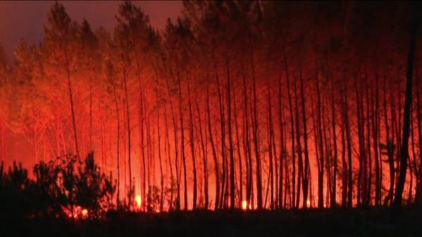 Incendies en Gironde : les pompiers rentrent chez eux