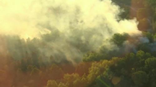 Incendie en Gironde : le feu de Landiras reste contenu