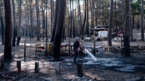 Incendies en Gironde : quelle est la situation deux semaines après le déclenchement des feux ?