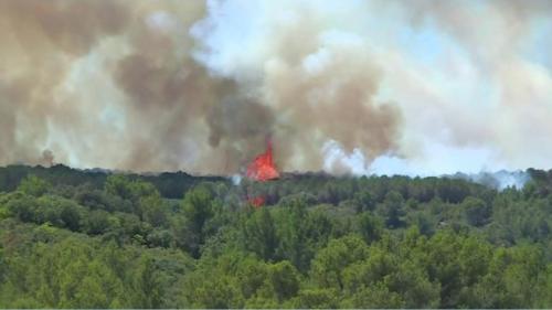 Incendies : l'inquiétude grandissante des pompiers face à l'avancée du feu dans l'Hérault