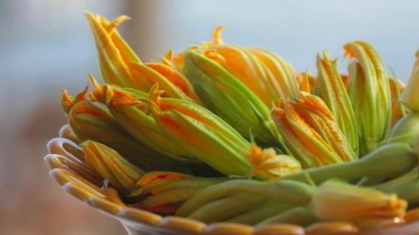 Alimentation : le beignet de fleurs de courgette, un incontournable de l'apéro provençal