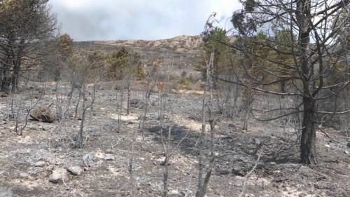 Incendie : évacuation préventive d'un camping à Castellane