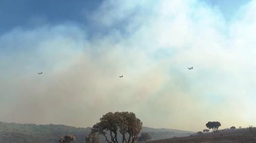 Incendies dans l'Hérault : feu fixé et surveillance accrue