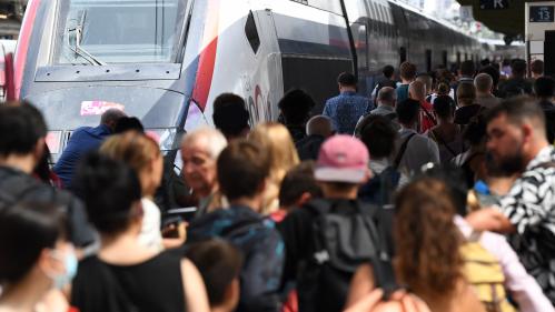 TEMOIGNAGES. Train, bus, vélo, kayak... Des Français qui ne juraient que par l'automobile se convertissent aux vacances sans voiture