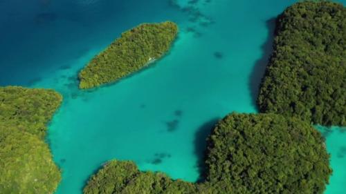 Îles secrètes : Palau, le paradis du Pacifique qui se préserve du tourisme de masse