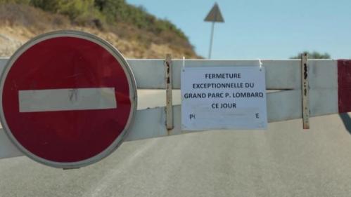 Incendies : un risque de feu élevé dans le sud-est de la France