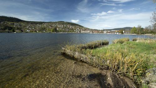 Sécheresse à Gérardmer : l'eau doit maintenant être puisée au lac et sera déclarée non potable pendant 48 heures, le temps des analyses