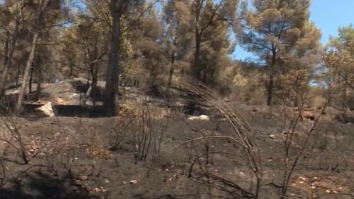 Incendies : aux Pennes-Mirabeau, l'incendie est fixé mais les traumatismes remontent