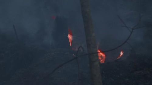 Incendies dans le Morbihan : des départs de feu qui intriguent