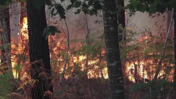 Incendies dans le Morbihan : les feux contenus après une reprise dans l'après-midi