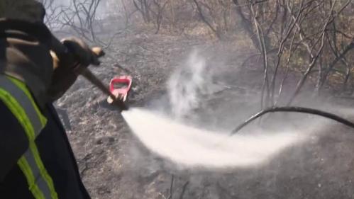 Incendies dans le Morbihan : des centaines d'hectares ravagés par les flammes