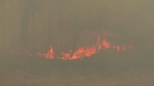 Incendies dans le Morbihan : trois feux actifs