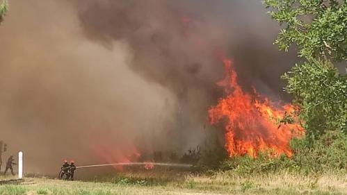 Gironde : trois incendies en cours dont deux reprises de feu près de Landiras