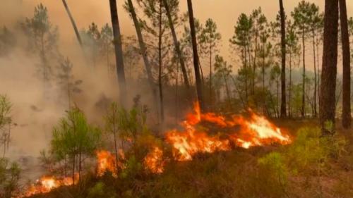 Incendie en Gironde : une reprise de feu très virulente