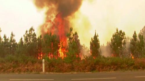 Incendies : des feux hors de contrôles dans la forêt des Landes