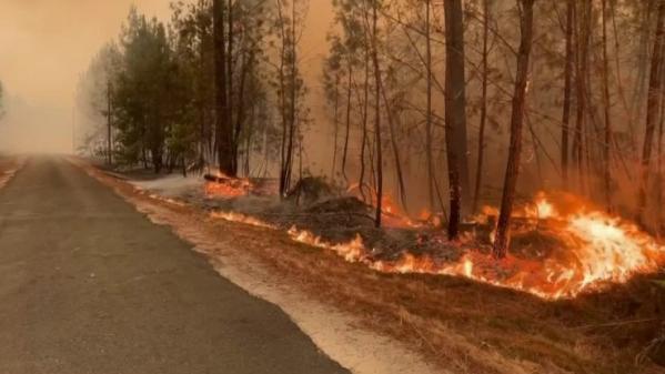 Incendie dans la forêt des Landes : les feux peuvent-ils être contenus ?