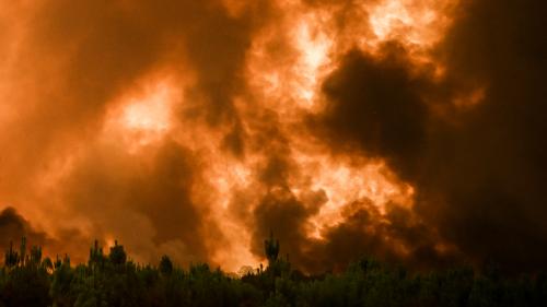 Incendies en Gironde : plus de 10 000 personnes évacuées