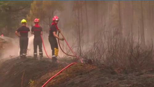 Incendies en Gironde et dans les Landes : une lueur d'espoir face aux flammes