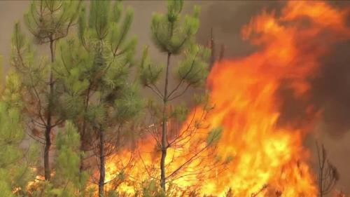 Incendies en Gironde et dans les Landes : les pompiers poursuivent leur combat contre les flammes