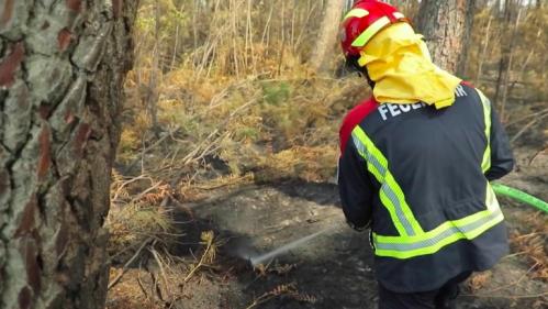 Incendies en Gironde et dans les Landes : les renforts européens sont arrivés