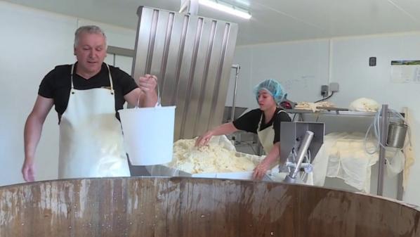 Agriculture : la production du fromage AOP Salers arrêtée dans le Cantal