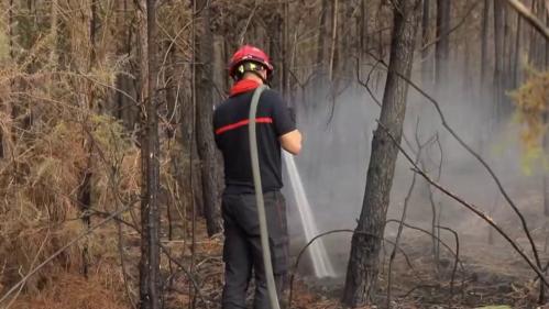 Incendie en Gironde et dans les Landes : le feu ne progresse plus