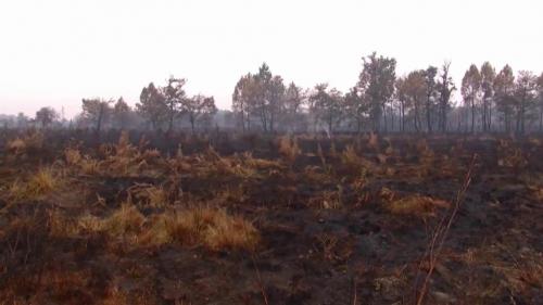 Incendies en Gironde : la pluie tant espérée est arrivée