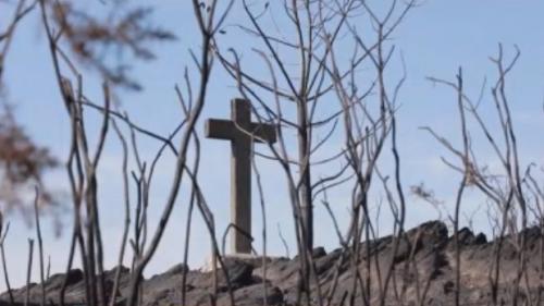 Incendies : le feu a été contenu dans la forêt de Brocéliande