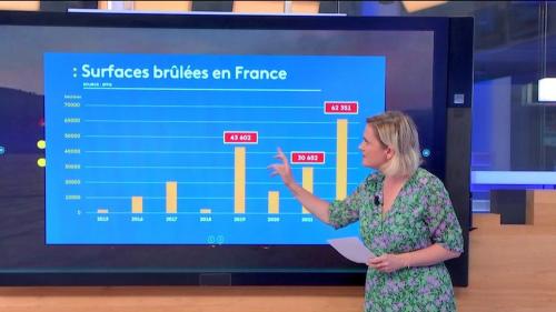 Incendies : une année record pour les feux en France