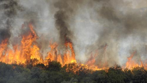 Algérie : 26 personnes sont mortes à cause d'incendies touchant 14 départements, rapporte le ministre algérien de l'Intérieur