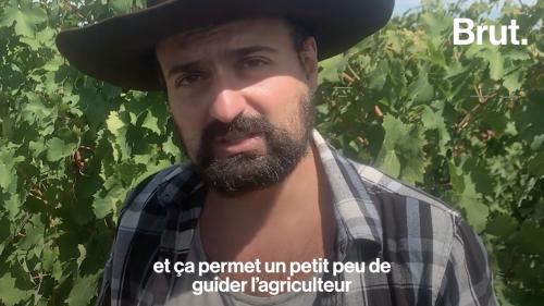 VIDEO. Sécheresses : l'agriculture française obligée de trouver des alternatives