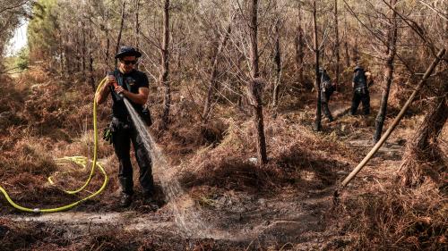 Gironde : l'incendie de La Teste-de-Buch est éteint, la situation s'améliore à Landiras