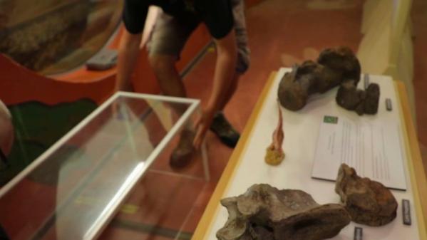 VIDEO. Sciences : des chasseurs de dinosaures en quête de découvertes au Royaume-Uni