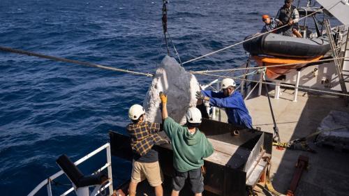 Greenpeace largue des blocs de pierre dans la Manche pour protester contre une pêche 