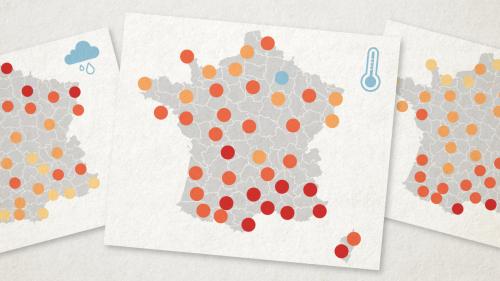 CARTES. Crise climatique : visualisez, ville par ville, le bilan d'un été exceptionnellement chaud et sec en France