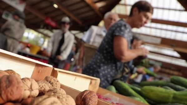 Noix : le croquant du Périgord