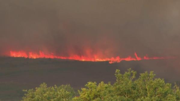 Incendies : des conséquences écologiques désastreuses