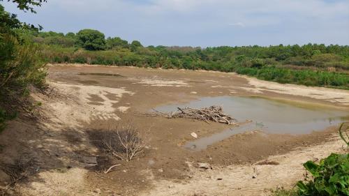 REPORTAGE. Changement climatique : 