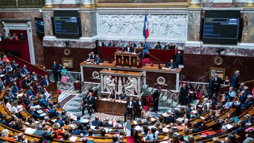 Réforme des retraites : on vous explique les différentes options du gouvernement pour faire adopter ses mesures