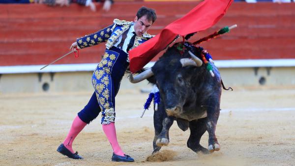 Corrida : alors qu'une nouvelle proposition de loi vise à l'interdire en France, où en est cette tradition en Colombie, en Espagne et au Mexique ?