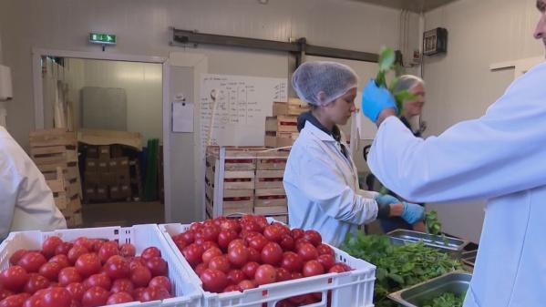 Alimentation : une pénurie de légumes est-elle à prévoir en France ?