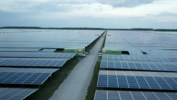 Landiras : des centrales solaires sur les parcelles brulées de la Gironde